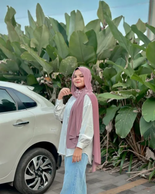 Nude Mauve MOJA Malaysian Georgette